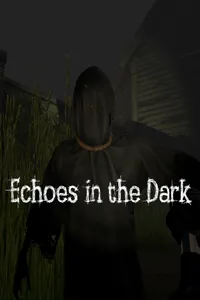 Echoes in the Dark