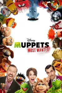 Muppets Aranıyor